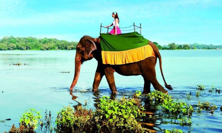 Corona Virus, Pandemic, and Travelling: What You Should Know For Your Andaman Tours