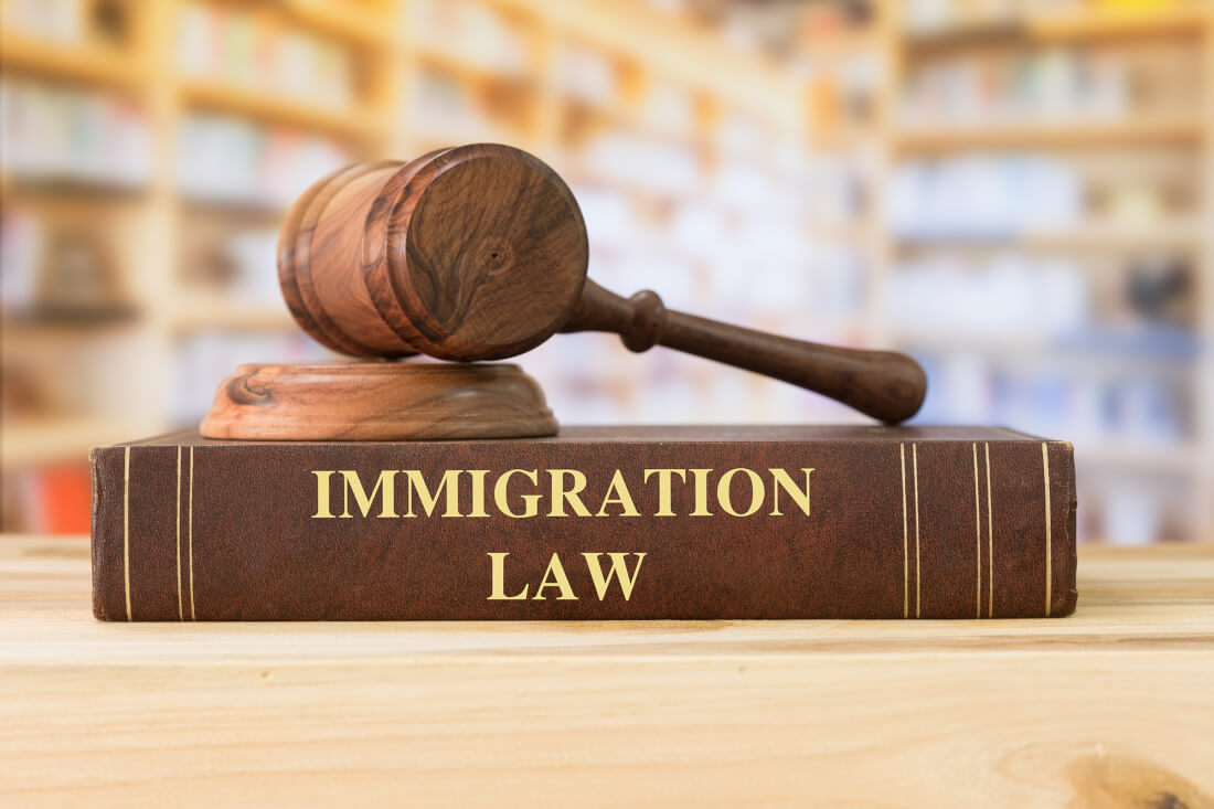 immigration lawyer